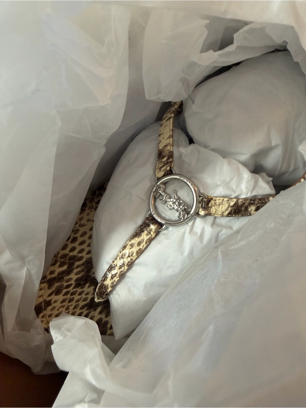 Coach Beige Brown Snake-Print T-Strap Sandal with Silver Logo - Picture 4 of 9